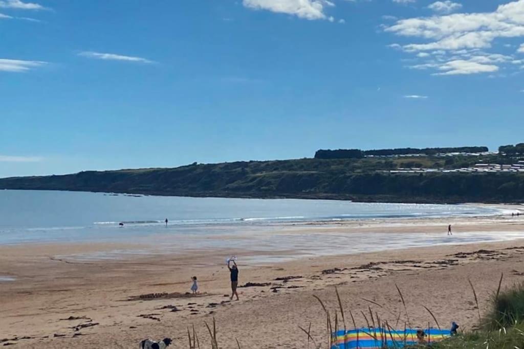 Lovely House & Garden, Short Walk To Town & Beach. Holiday home