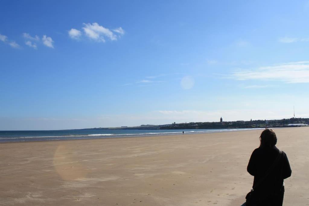Lovely House & Garden, Short Walk To Town & Beach. Holiday home *